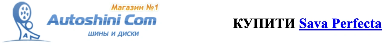 autocentre autoshini.com Shiny-Sava-Perfecta