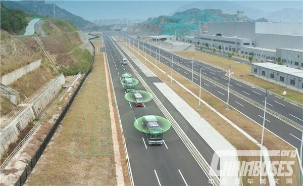 Golden Dragon Polestar