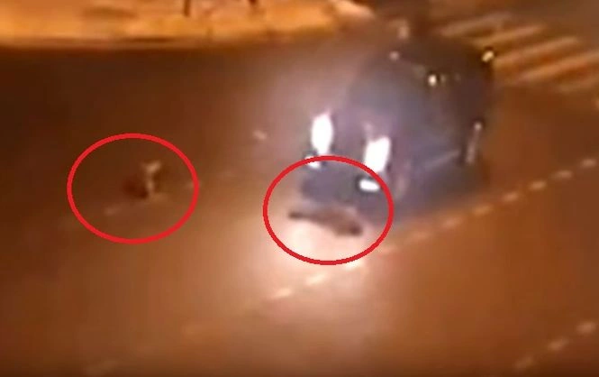 Беглый украинский чиновник сбил двух детей в Москве (видео)