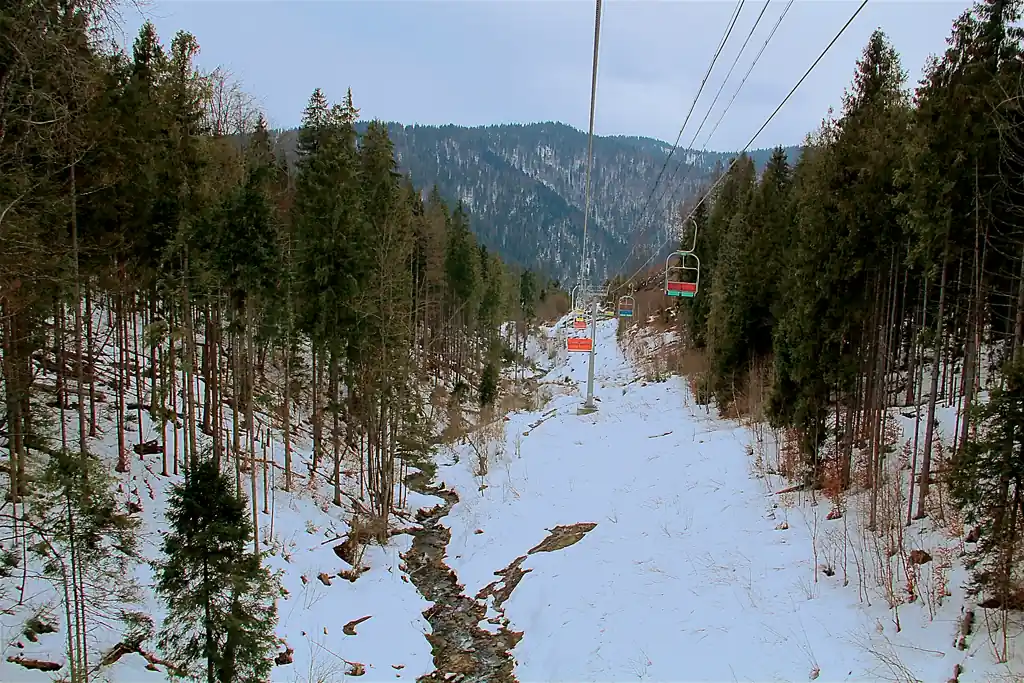 в Карпаты на Peugeot Traveller