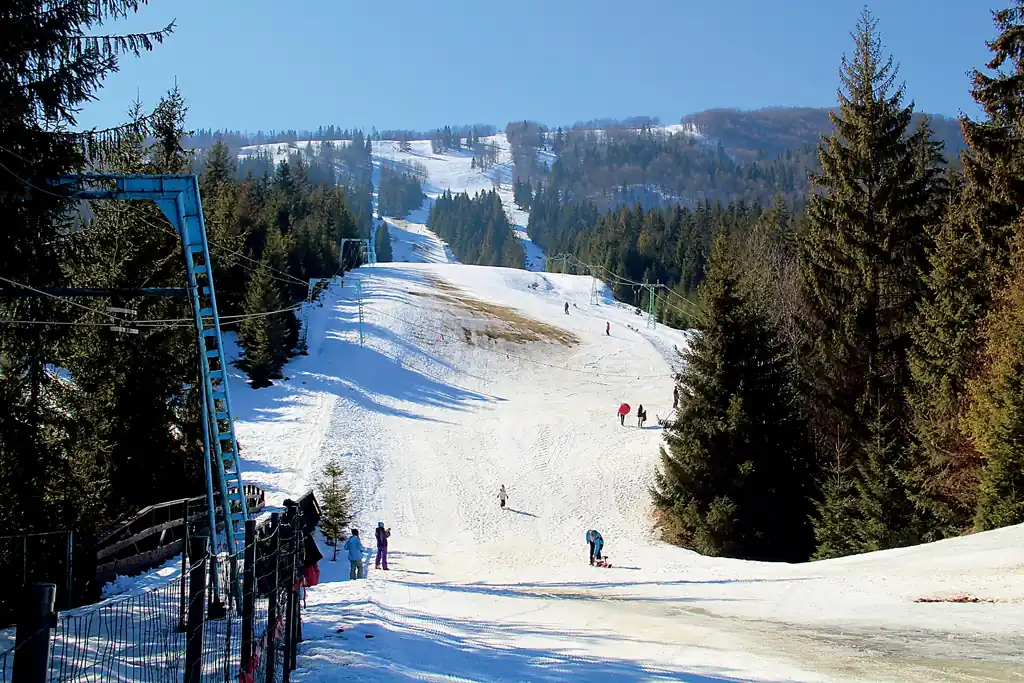 в Карпаты на Peugeot Traveller