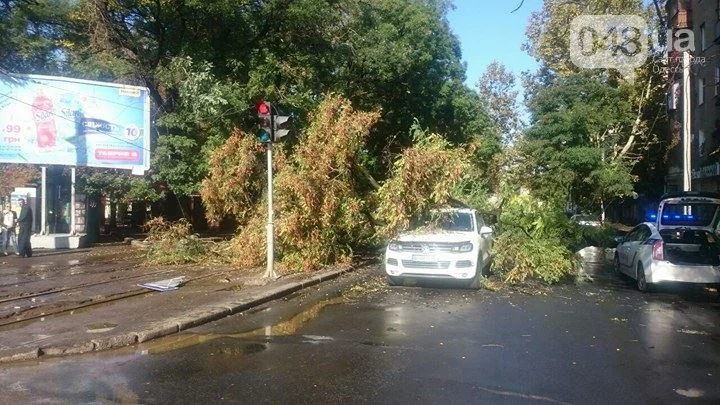 Потоп в Одессе. Машины вновь тонут, а деревья падают