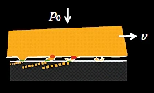Шина Continental Premium Contact 6