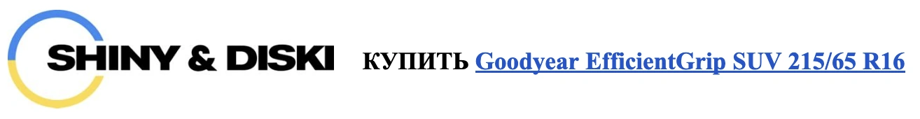 autocentre - sinyi diski 4