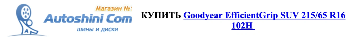 autocentre - autoshini.com 4