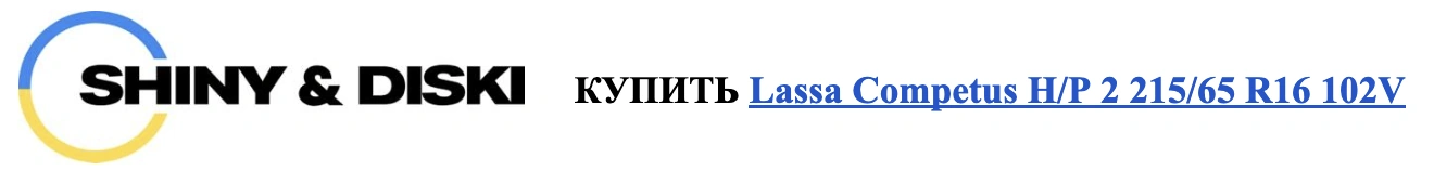 autocentre - sinyi diski 8