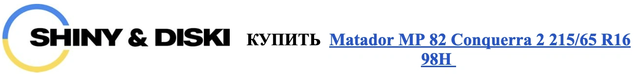 autocentre - sinyi diski 10