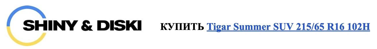 autocentre - sinyi diski 2