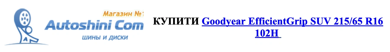 autocentre - autoshini.com 4