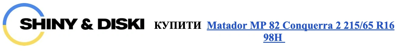 autocentre shiny&diski 10