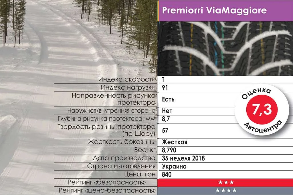 тест зимних шин