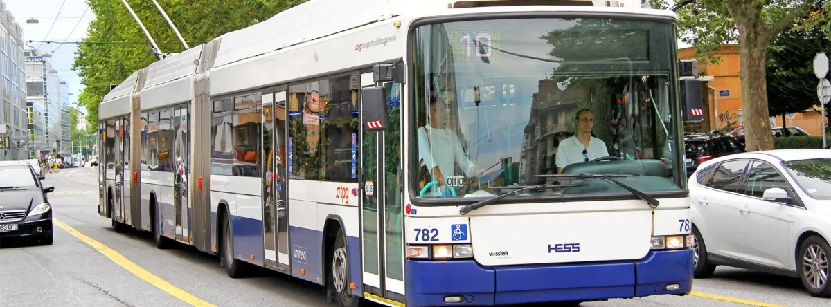 транспорт онлайн - DozoR City