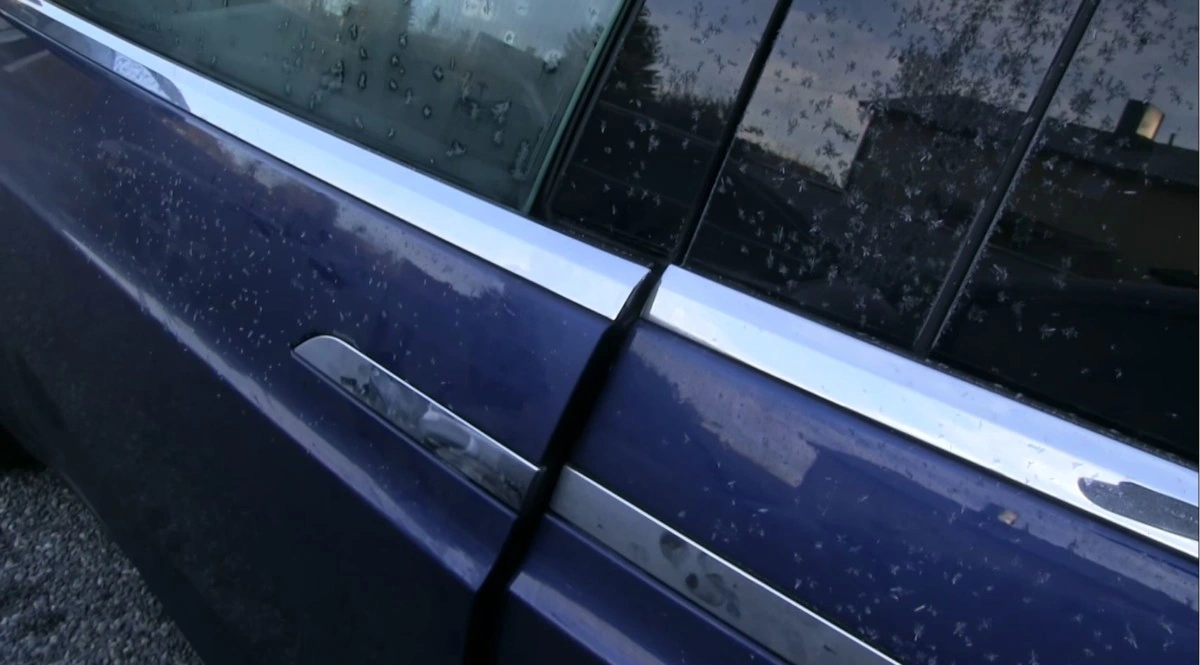 Как ведет себя электромобиль в мороз (видео)