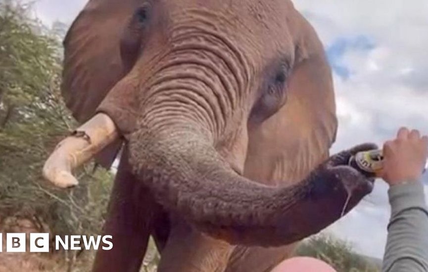 Investigations-have-been-launched-in-response-to-the-Spanish-tourist-who-poured-beer-down-the-trunk