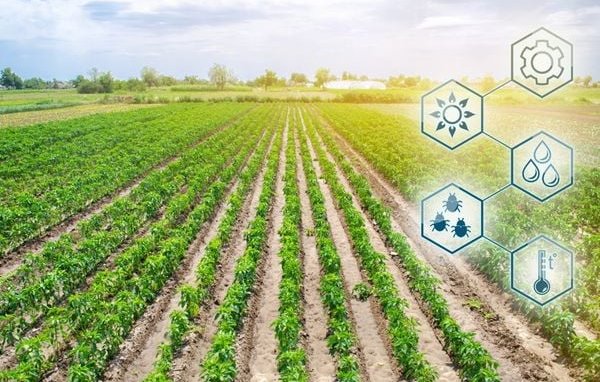Agriculture-2