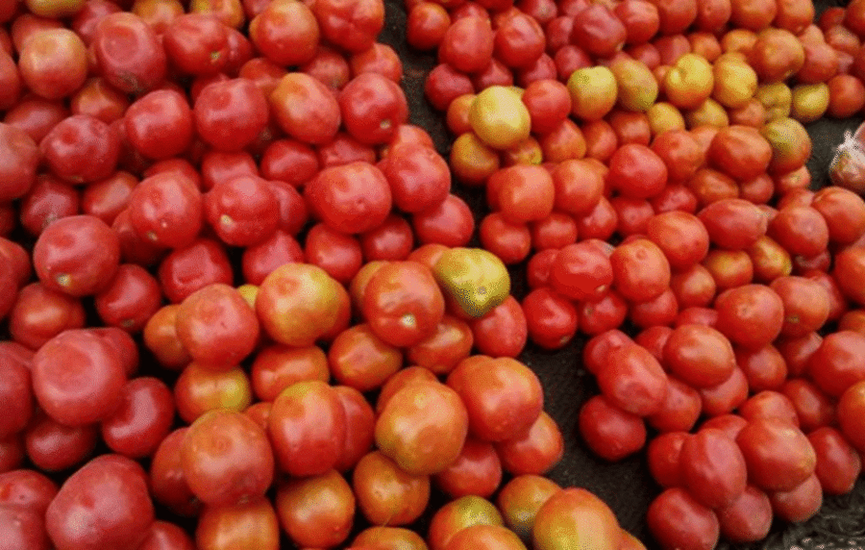 Camaroon-Tomates-1-1024x572