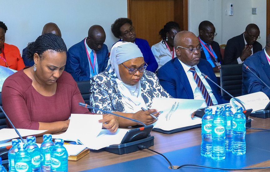 EC Commissioners before committee