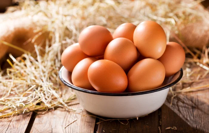 Egg
