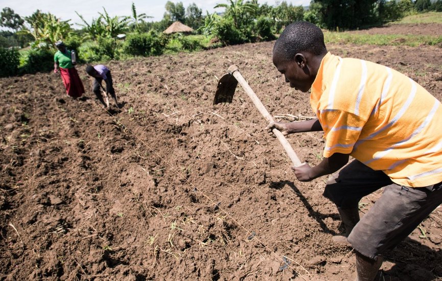 Field_Preparation_Kenya.2e16d0ba.fill-2400x1600-c100