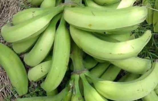 Plantain-TFS