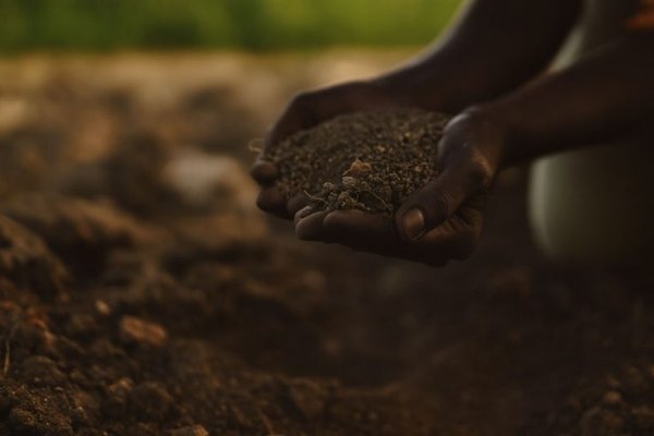 Soil-Health