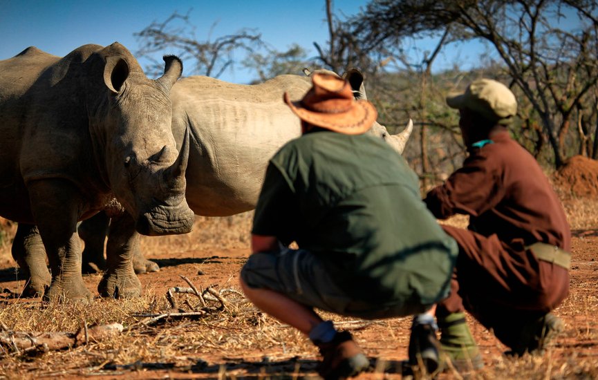 Wildlife SWZ Rhino 5 (BGP) (4)