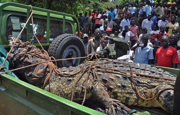 aHR0cDovL28uYW9sY2RuLmNvbS9kaW1zLXNoYXJlZC9kaW1zMy9HTE9CL2Nyb3AvNDYzNXgzMTE1KzUrMC9yZXNpemUvNTkweDM5MyEvZm9ybWF0L2pwZy9xdWFsaXR5Lzg1L2h0dHA6Ly9vLmFvbGNkbi5jb20vaHNzL3N0b3JhZ2UvYWRhbS9kNWE3YjRhNzExOTMyNjc1MmZkZGZhNjI1ZjQ0YTVhZC80ODE5NTI0Mzk