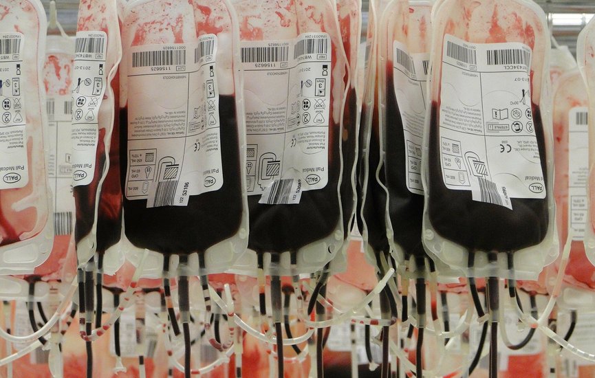 blooddonor