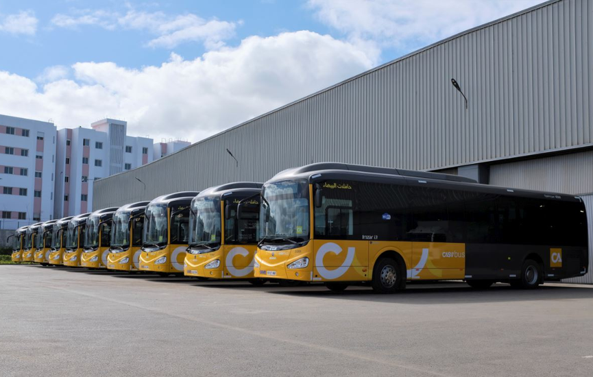 buses