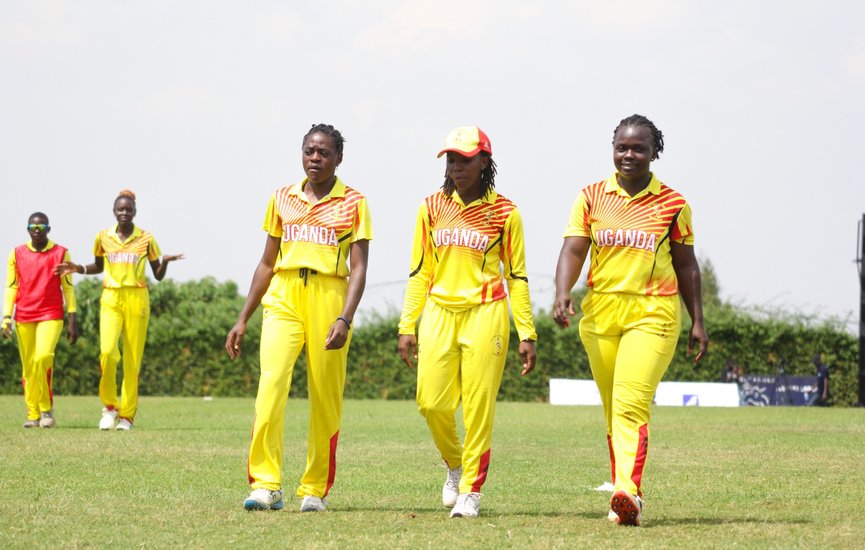 cricket