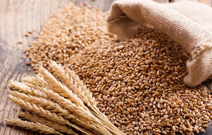 ea0b0ec6-0508-41e9-b3f2-ee71bf311cce