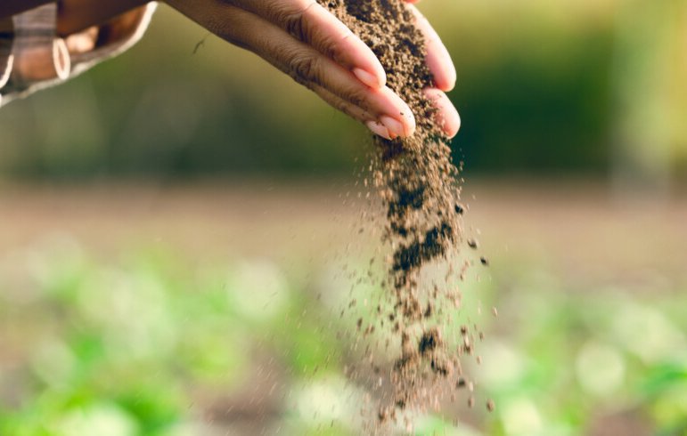 farmer-hands-and-agriculture-with-soil-dirt-or-dust-for-plants-growth-or-farming-closeup-black-woman-land-and-farm-with-field-earth-or-nutrition-of-ground-for-sustainability-fertility-and-zoom-stockpack-istock-875x4
