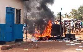 images - 2025-11-13T163922.839