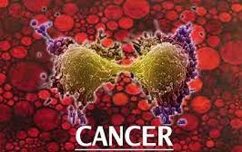 images - 2025-11-13T165515.047