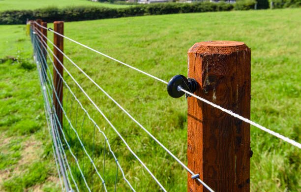 istockphoto-1339053459-612x612