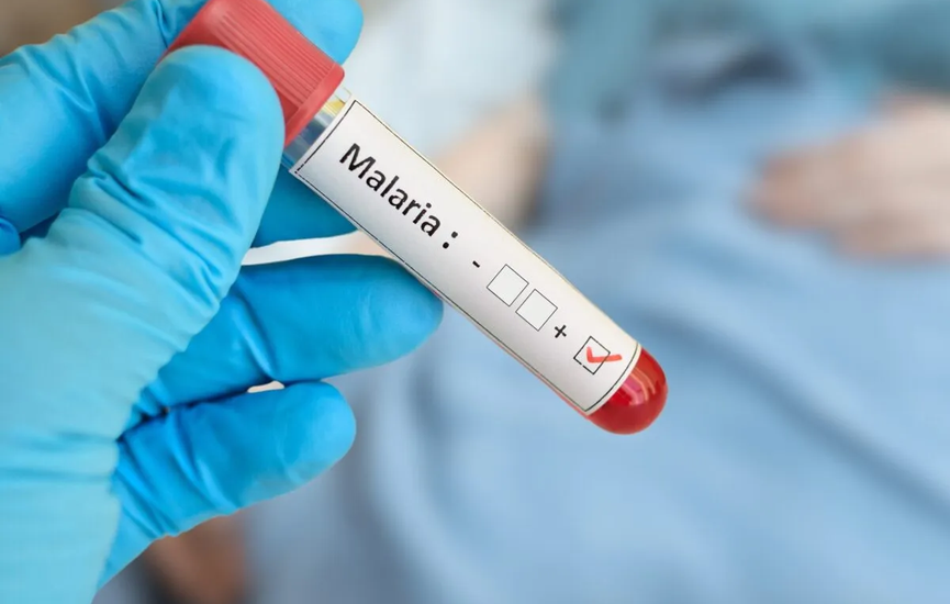 shutterstock_2483188211-scaled-e1752177098245