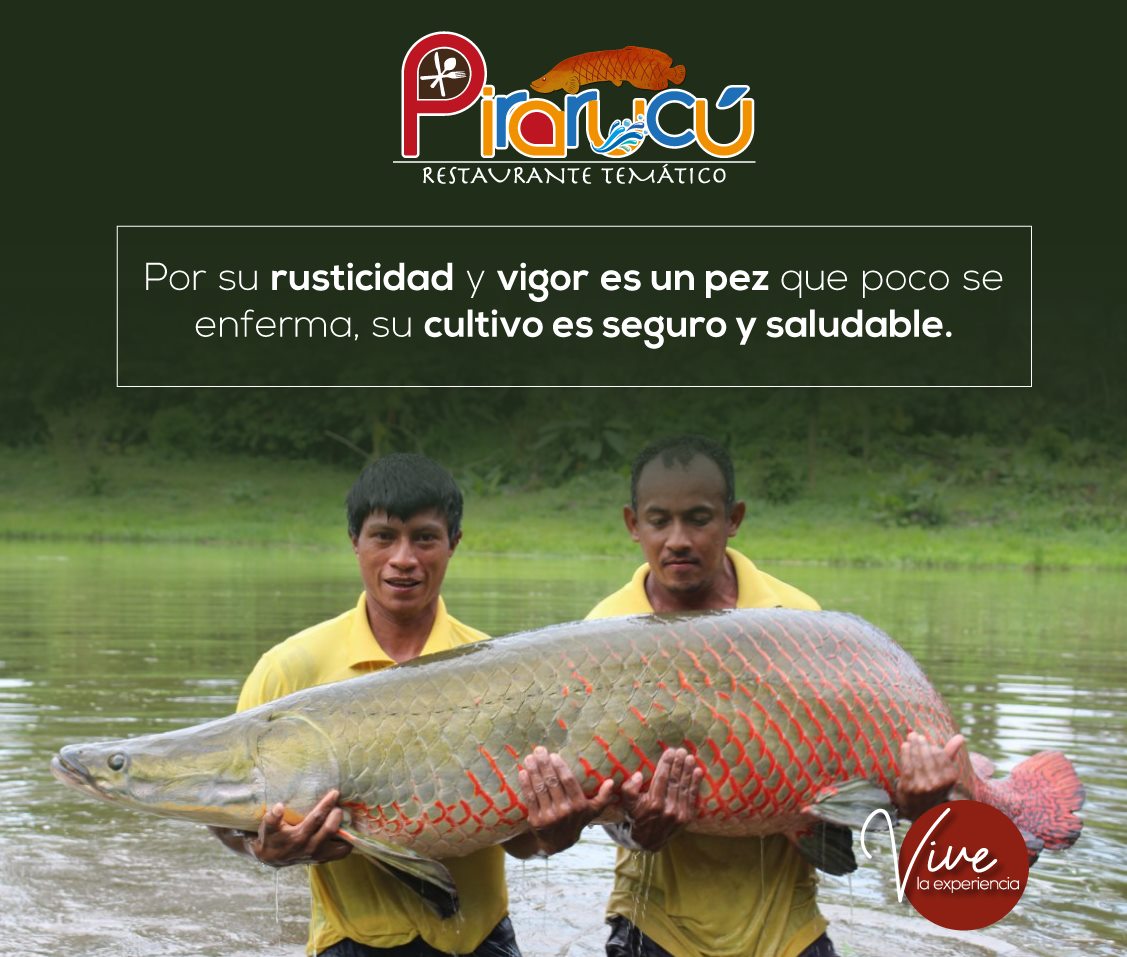 Portada de PIRARUCÚ RESTAURANTE TEMÁTICO