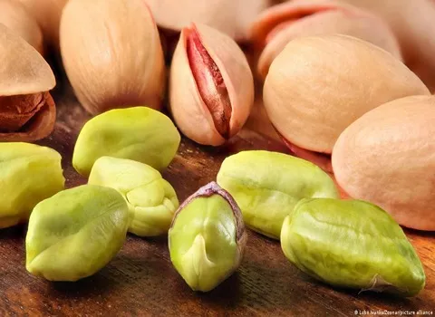 فستق العبيد للرجيم مع التفسيرات الكاملة والتعريف