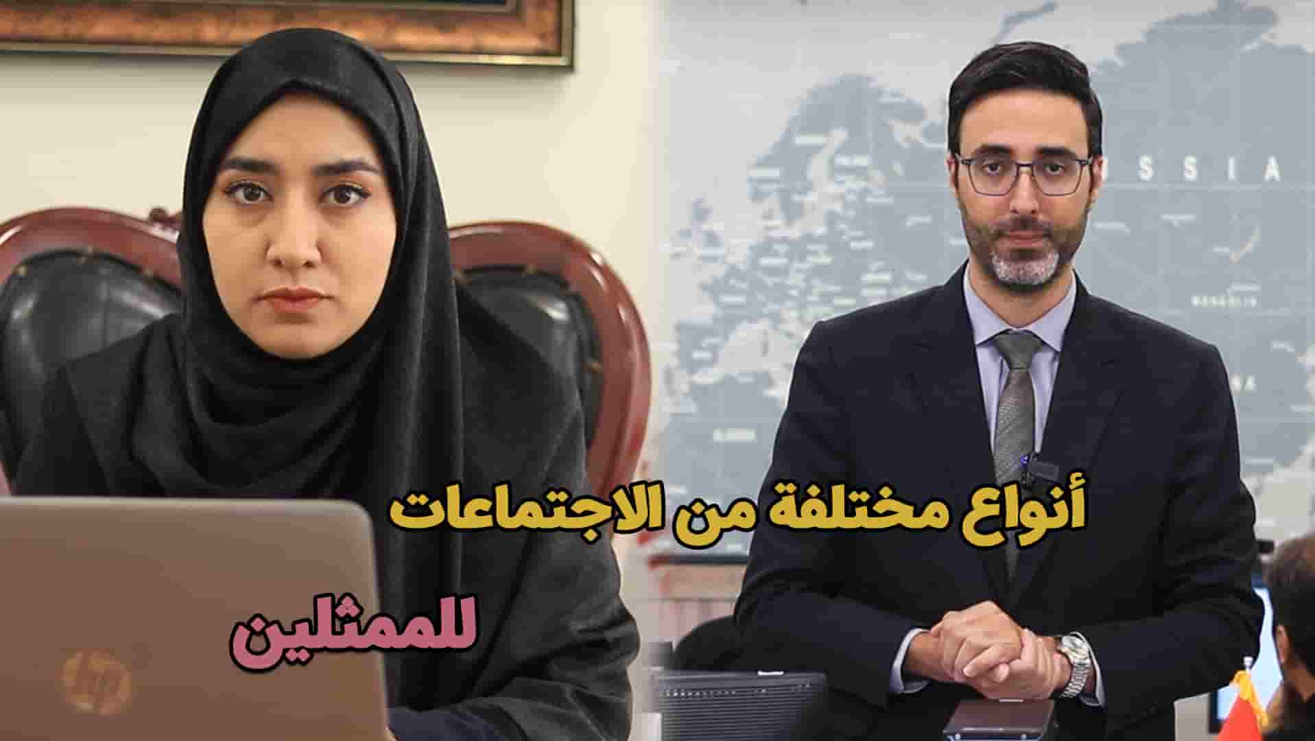 أنواع مختلفة من الاجتماعات للممثلين