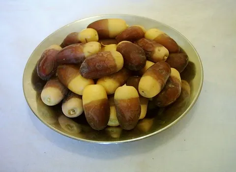 مواصفات تمر رطب ايراني وكيفية الشراء بكميات كبيرة