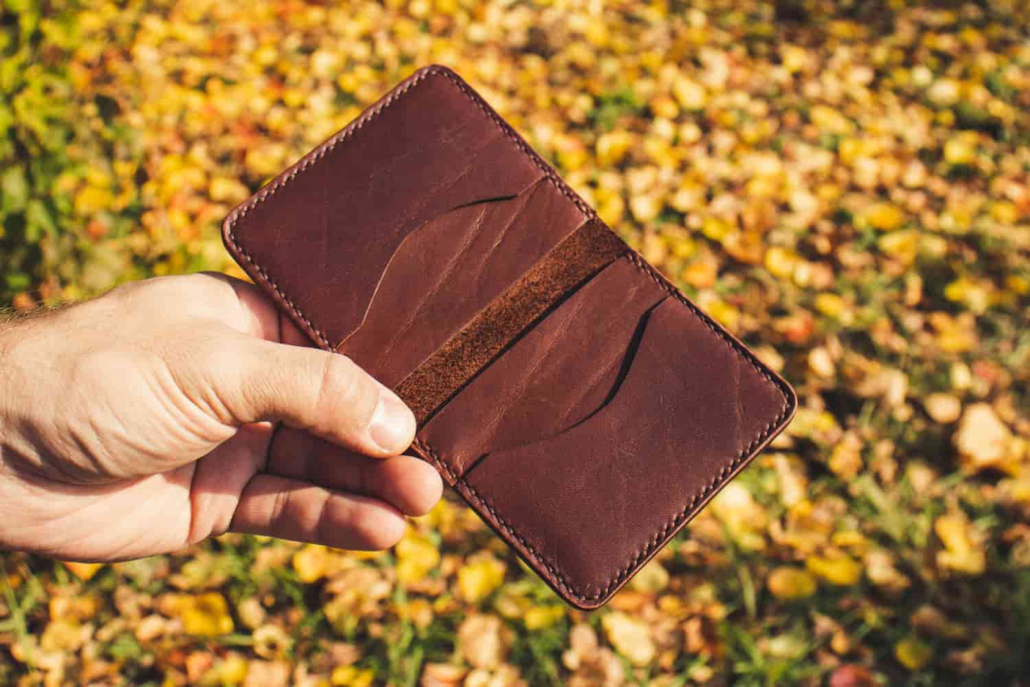 ماهی أجمل اكسسوارات جلد طبيعي في العالم