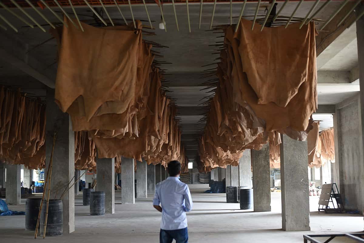 الجلد الطبيعي الماعز؛ التماسيح أسماك يتم استخدام حوالي 80٪ صناعة الأحذية