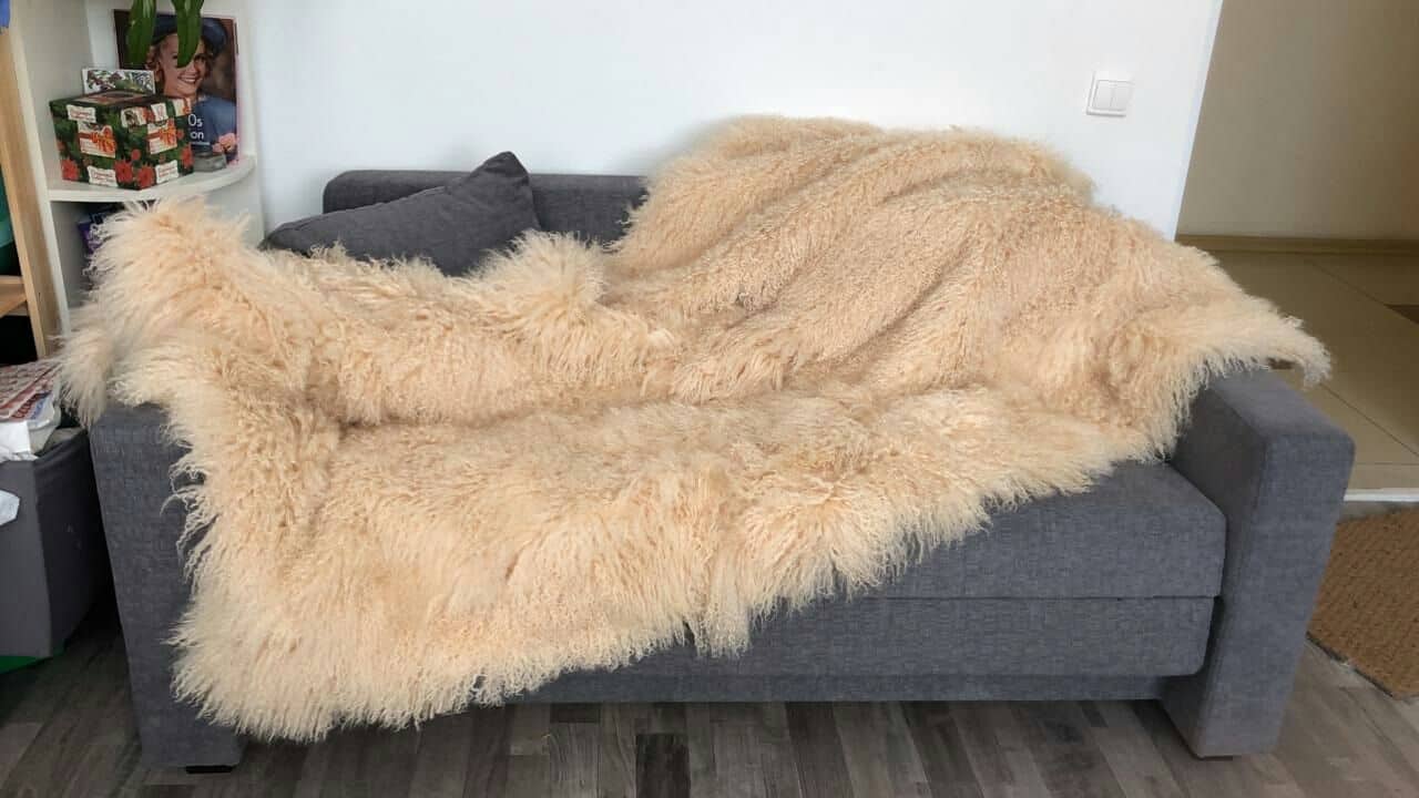 بطانية الدب الذهبي؛ ناعمة 4 6 8 6 كيلو