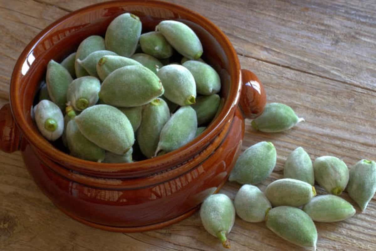 كيلو اللوز الاخضر في لبنان؛ يحسن تقلصات العضلات يسبب الصداع الإسهال