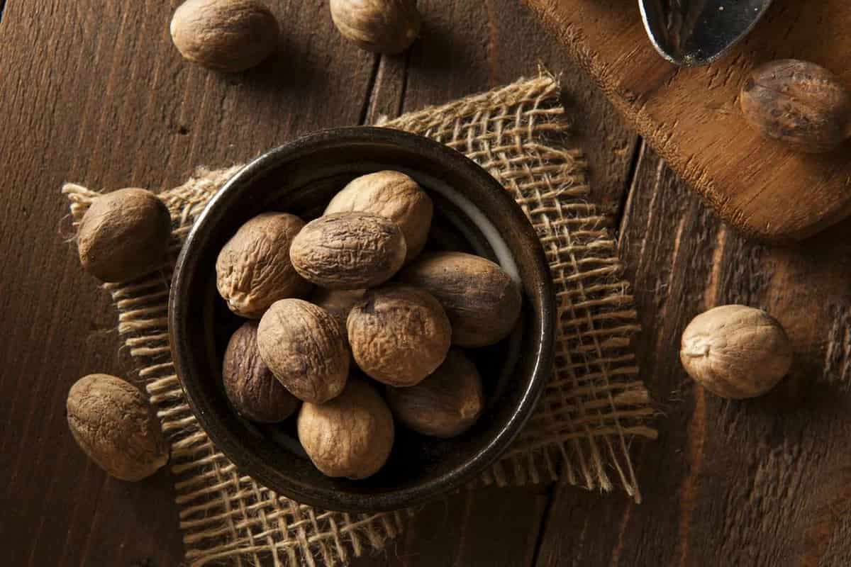 جوزة الطيب في الجزائر؛ نوع توابل بذورها صلبة طعمها حلو رائحتها خاصة Nutmeg
