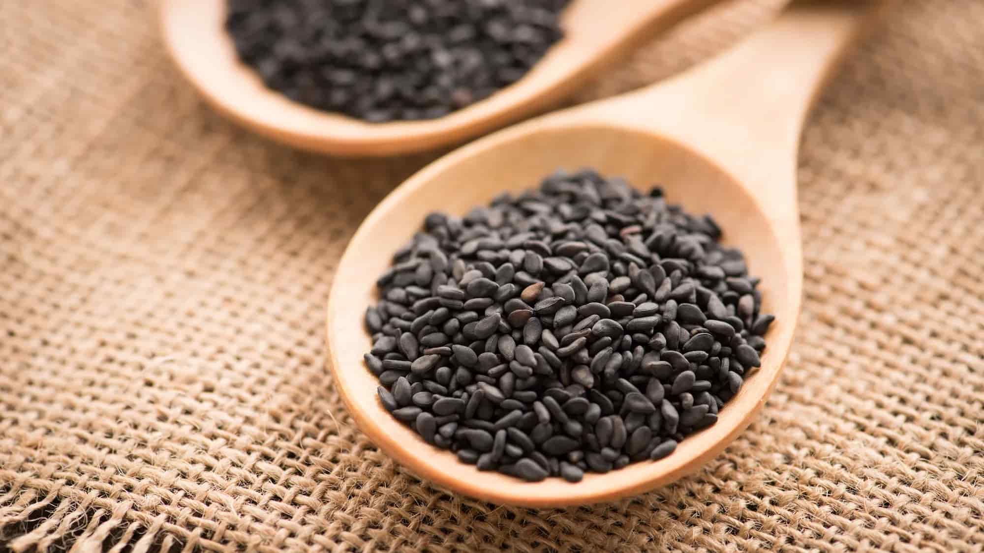 السمسم الأسود في مصر (حبة السوداء) 3 انواع اسود ابيض احمر