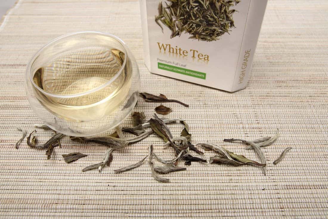 الشاي الأبيض ليبتون؛ نادر موسم الحصاد الربيع الزهرة صفراء باهتة