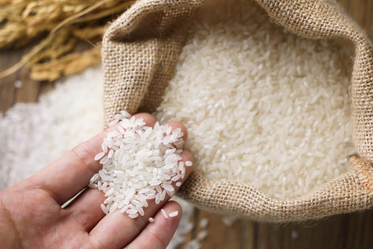 رز في البحرين؛ البني الابيض باردة أكياس بلاستيكية 5-50 كيلوغرام