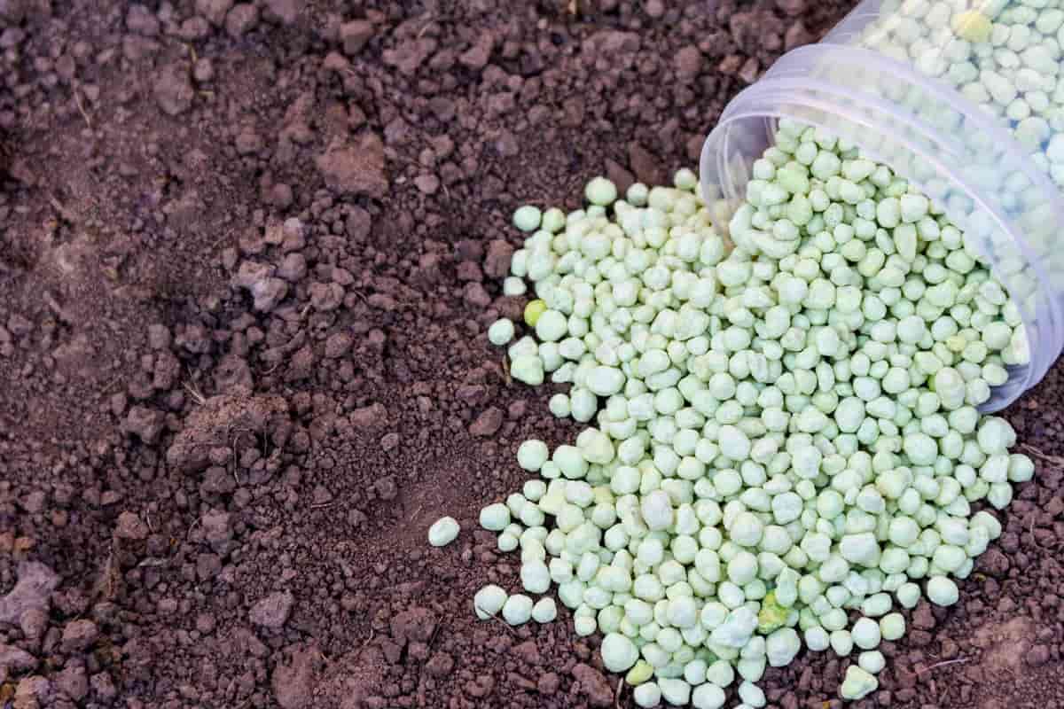 سماد npk في تونس؛ الأراضي الزراعية مكان بارد النيتروجين الفوسفور potassium