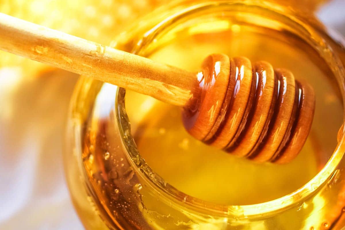 العسل الحر في المغرب؛ هياكل شمعية خلايا النحل النباتات رحيق الأزهار